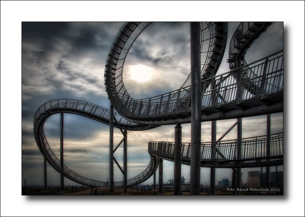 Tiger and Turtle ....