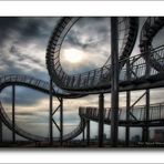 Tiger and Turtle ....