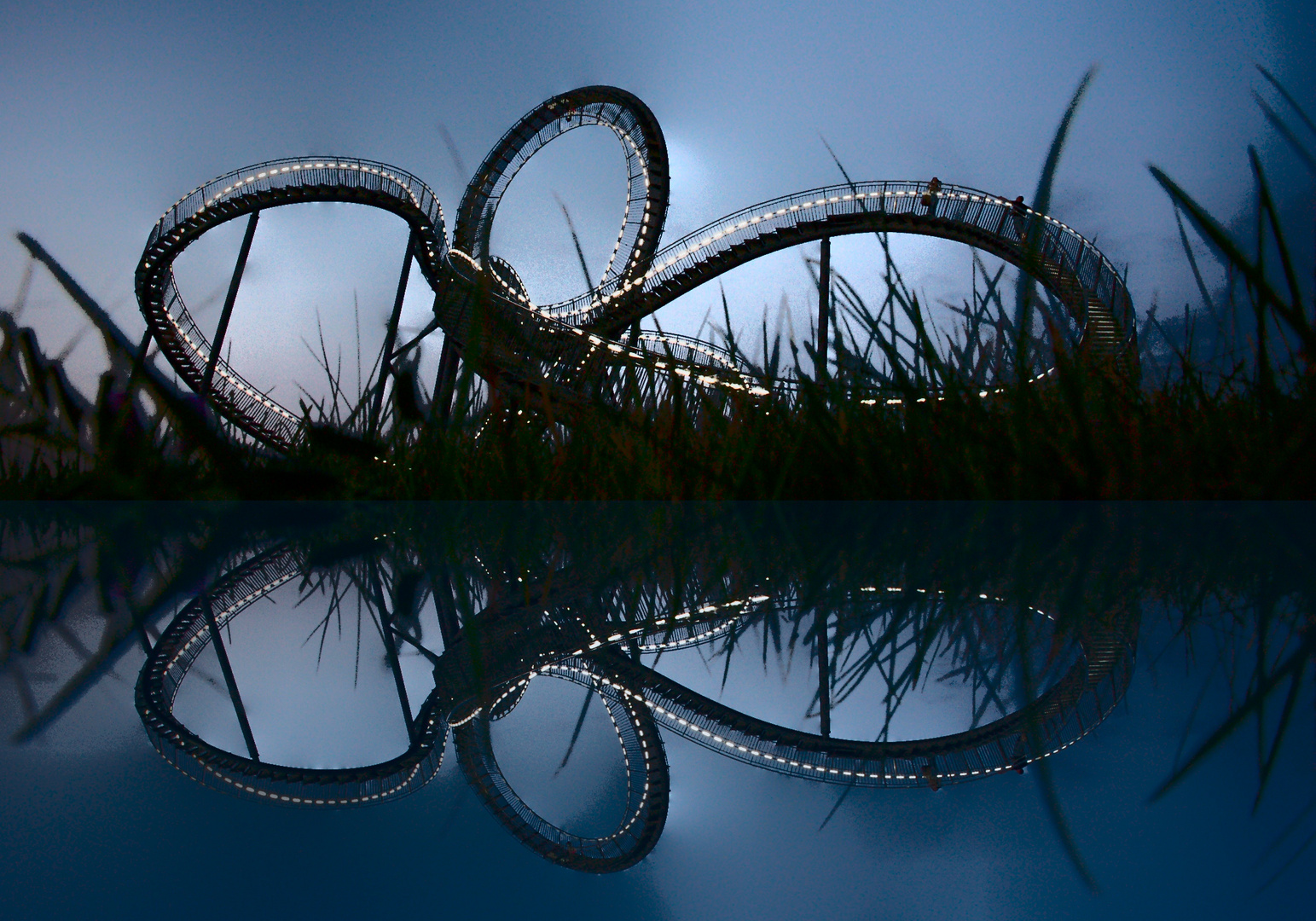 Tiger and Turtle