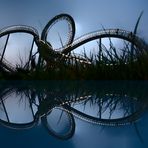 Tiger and Turtle