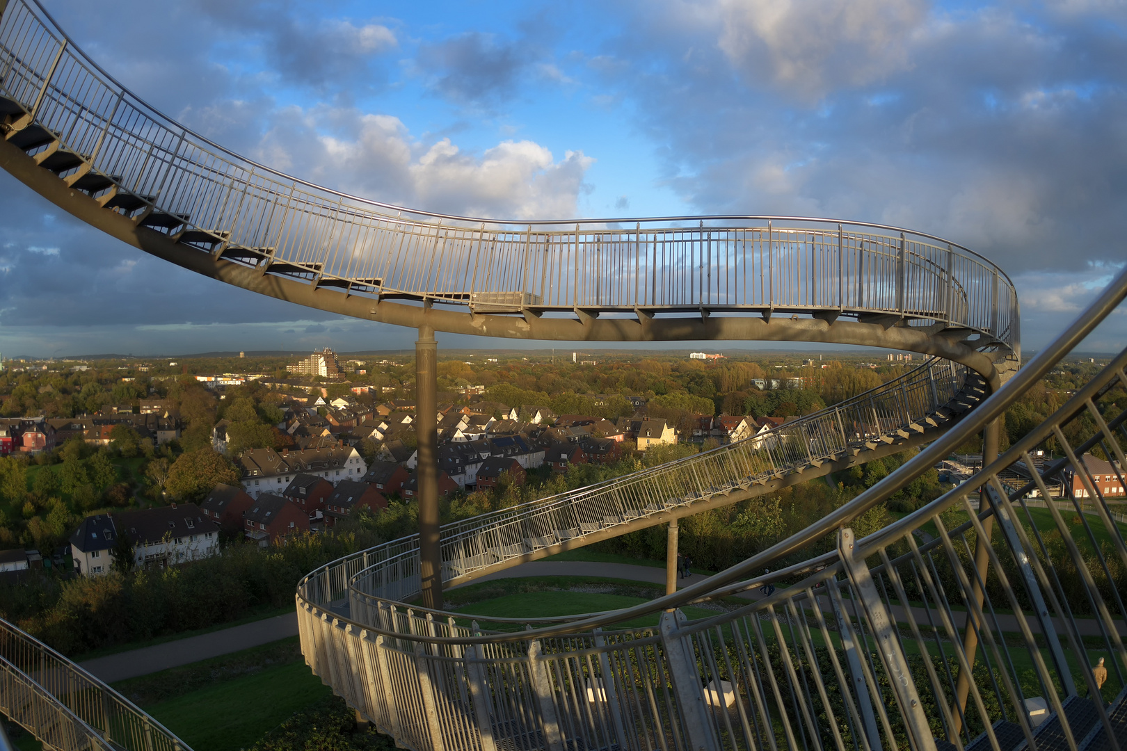 Tiger and Turtle