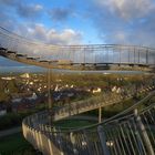 Tiger and Turtle