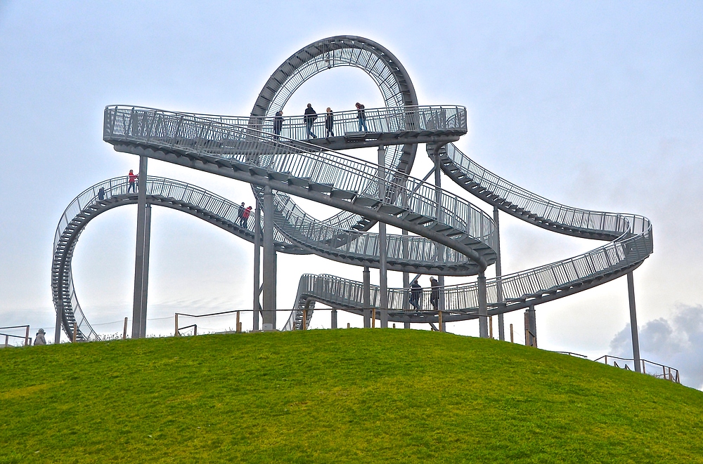 Tiger and Turtle