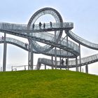 Tiger and Turtle