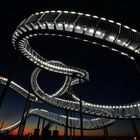 Tiger and Turtle