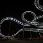 Tiger and Turtle (5)