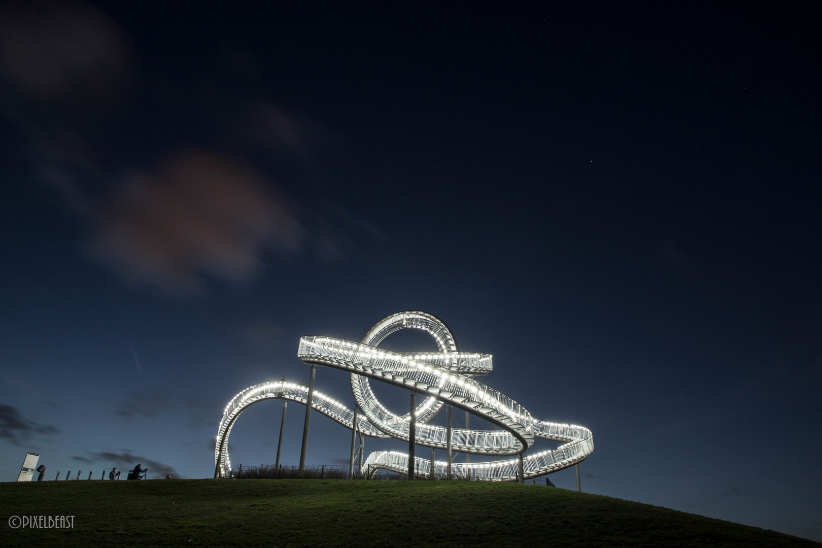 Tiger and Turtle 5