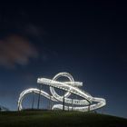 Tiger and Turtle 5