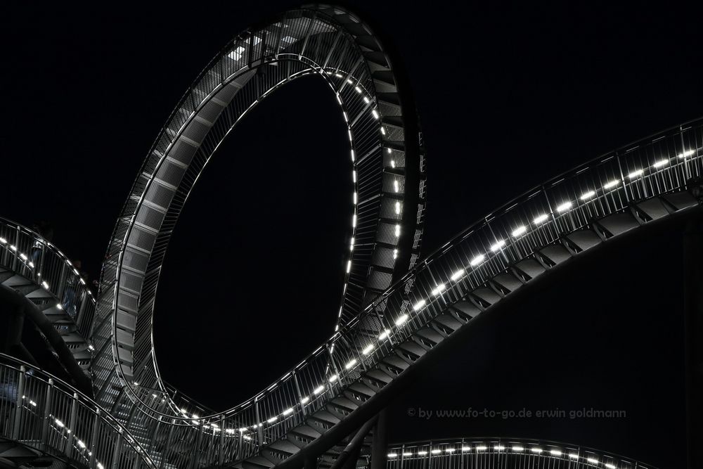 Tiger and Turtle 5