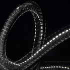 Tiger and Turtle 5