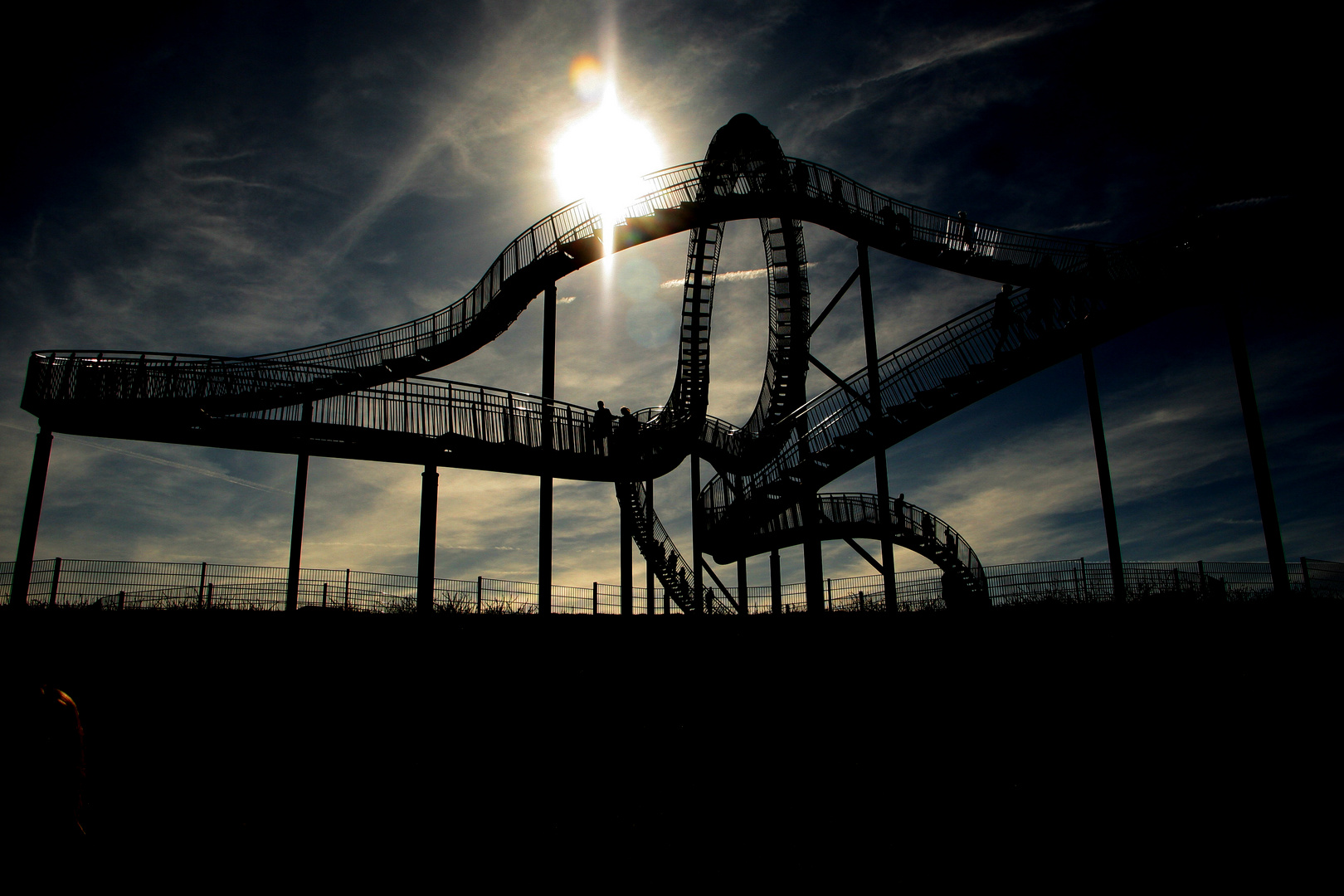 Tiger and Turtle