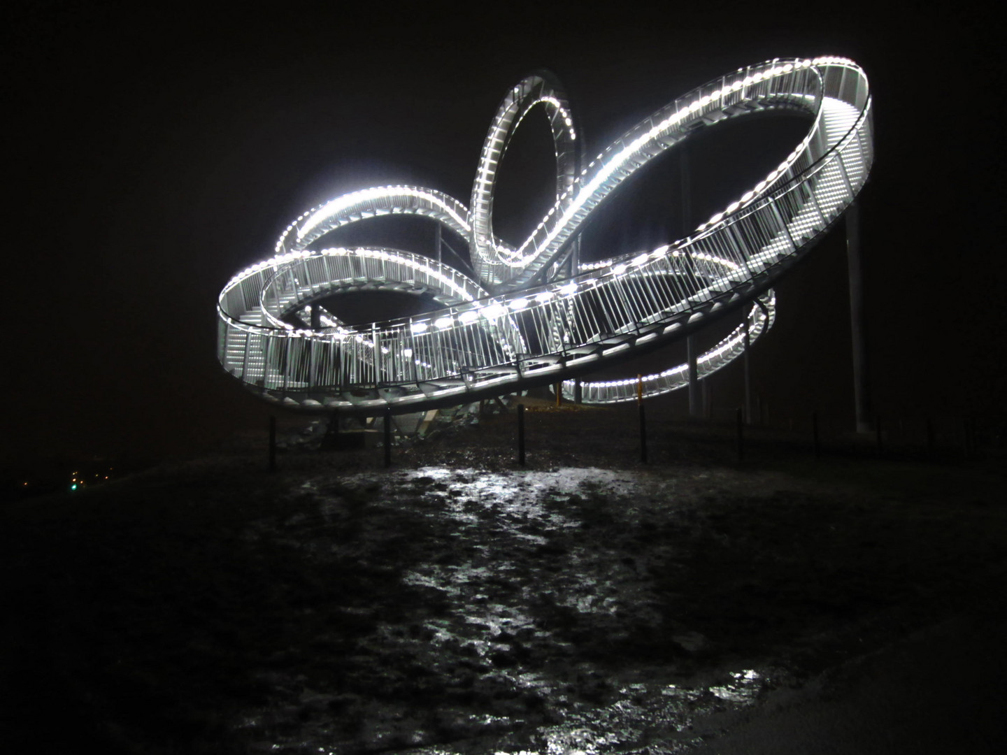 Tiger and Turtle