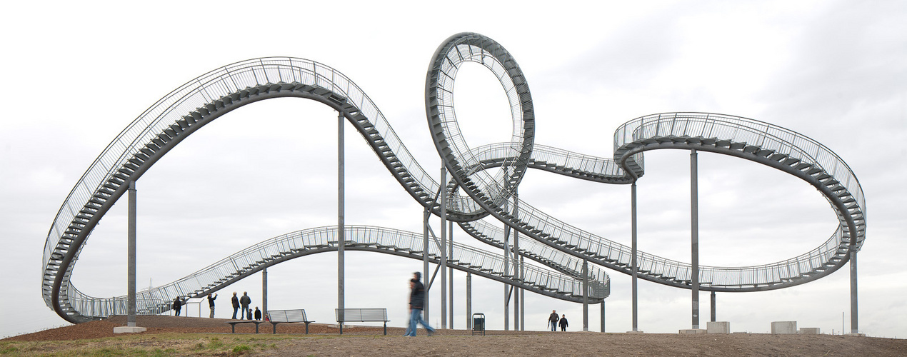 Tiger and Turtle