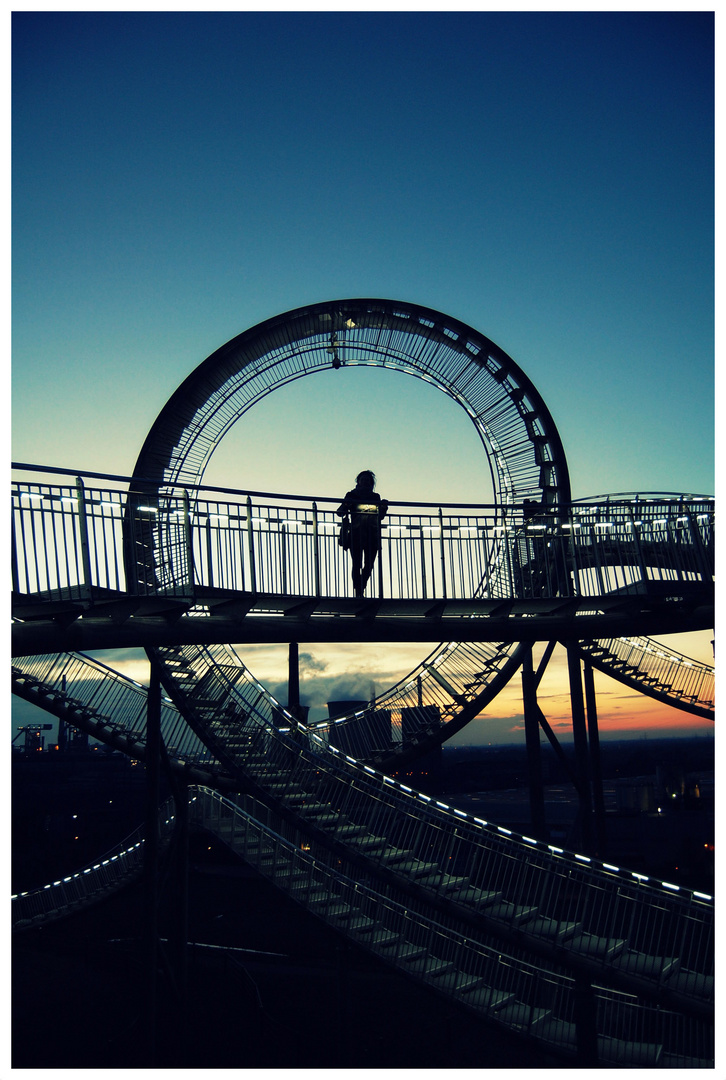 Tiger and Turtle