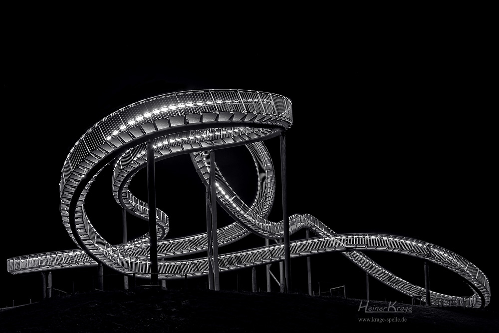 Tiger and Turtle