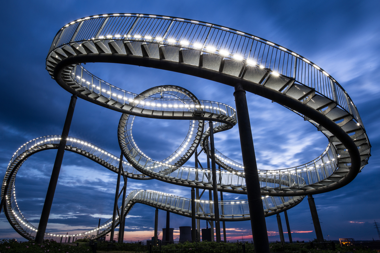 Tiger And Turtle