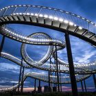 Tiger And Turtle