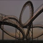 Tiger and Turtle