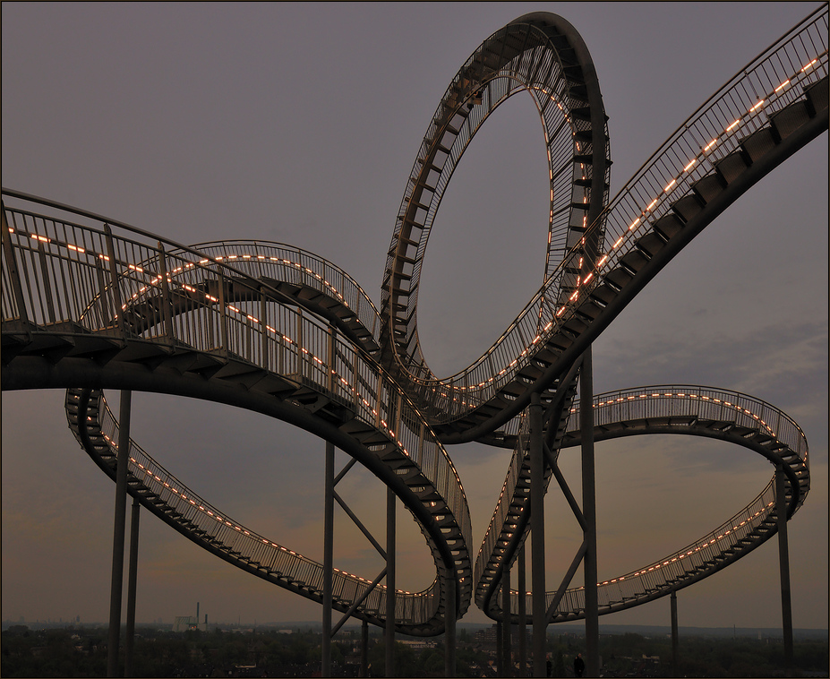 Tiger and Turtle