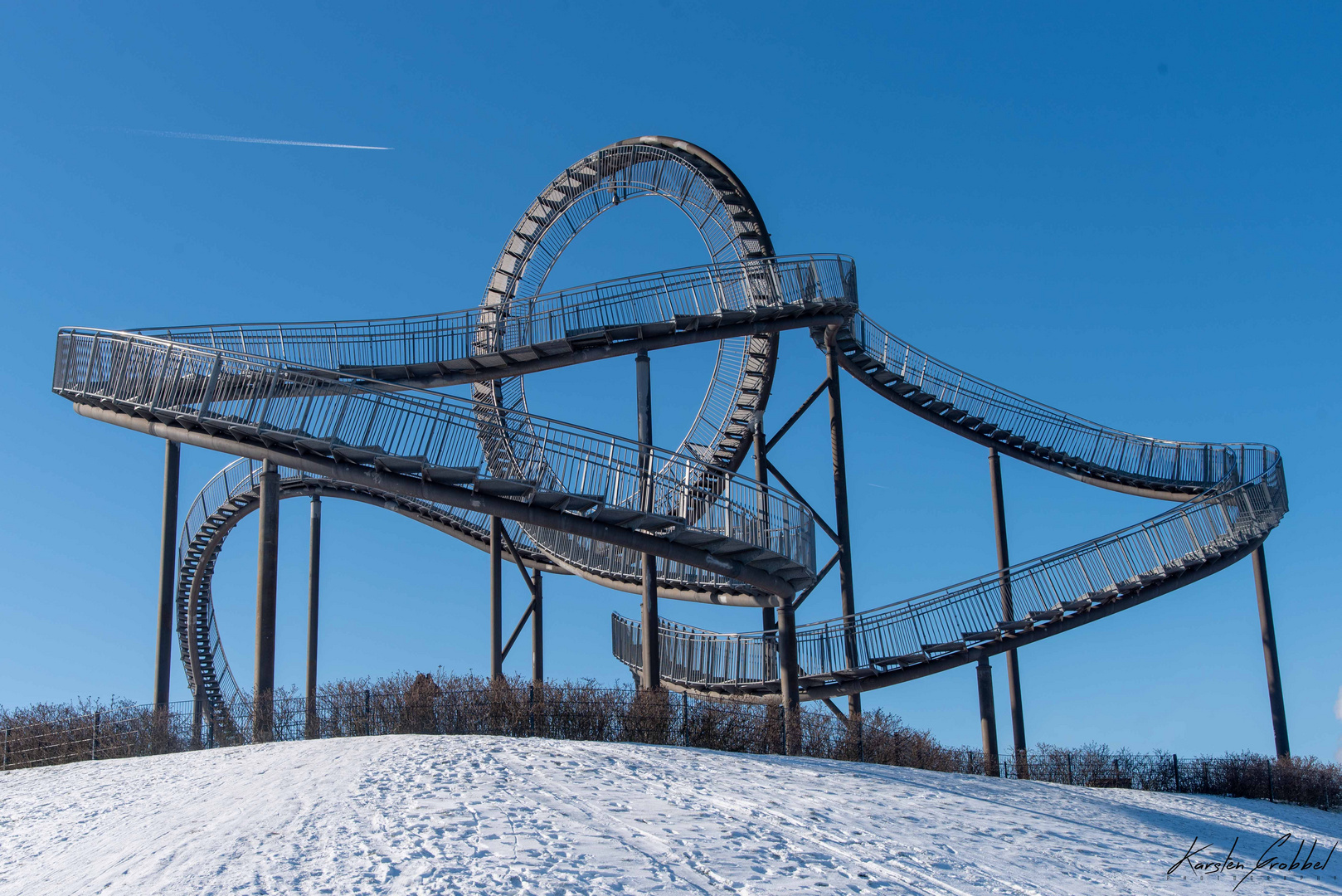 tiger and turtle