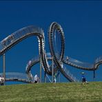 Tiger and Turtle