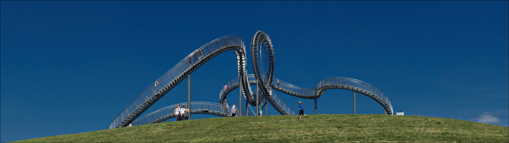 Tiger and Turtle