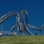 Tiger and Turtle