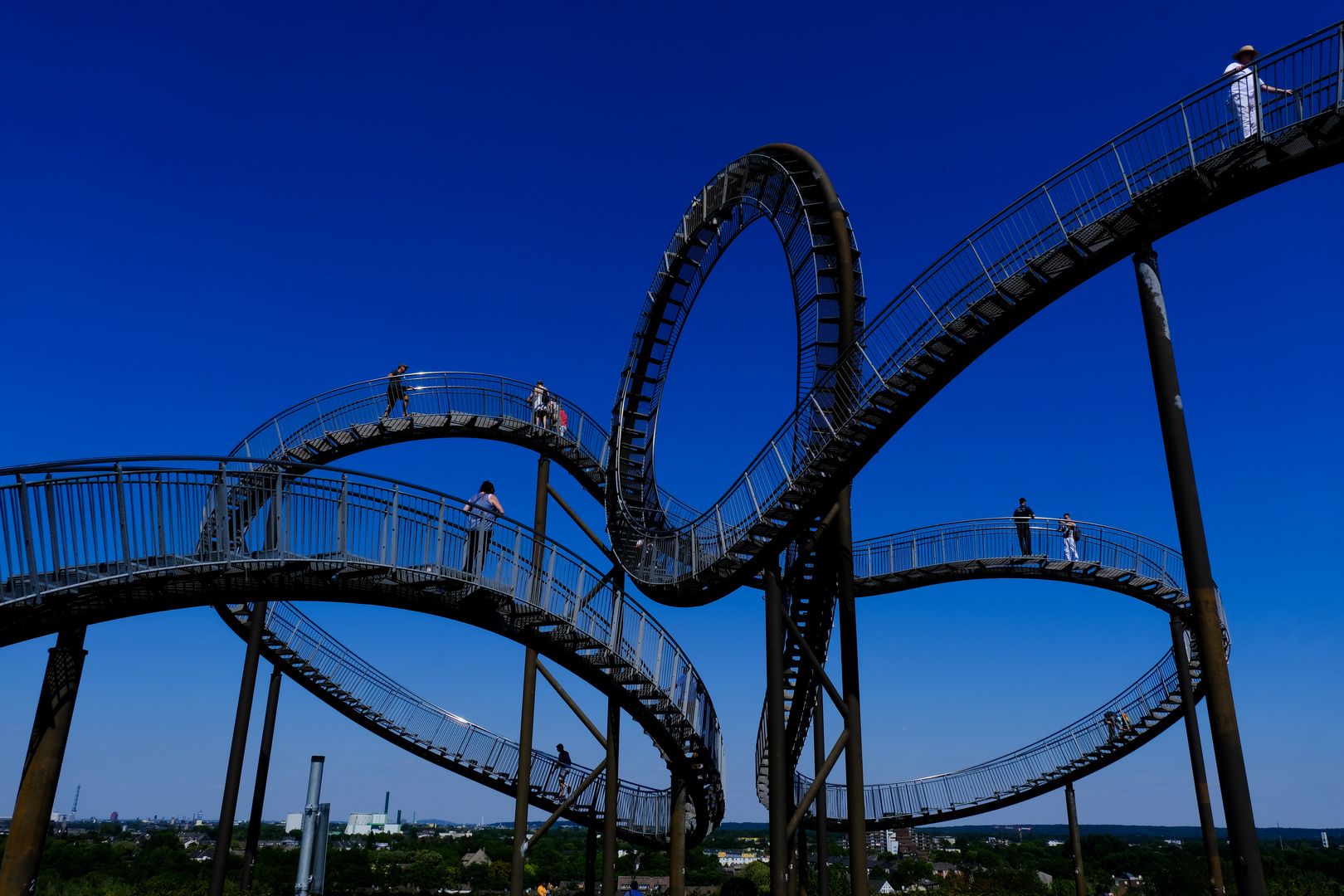 Tiger and Turtle