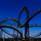 Tiger and Turtle