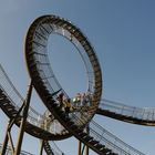 Tiger and Turtle (6)