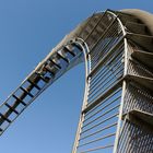 Tiger and Turtle