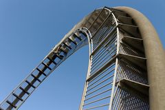 Tiger and Turtle