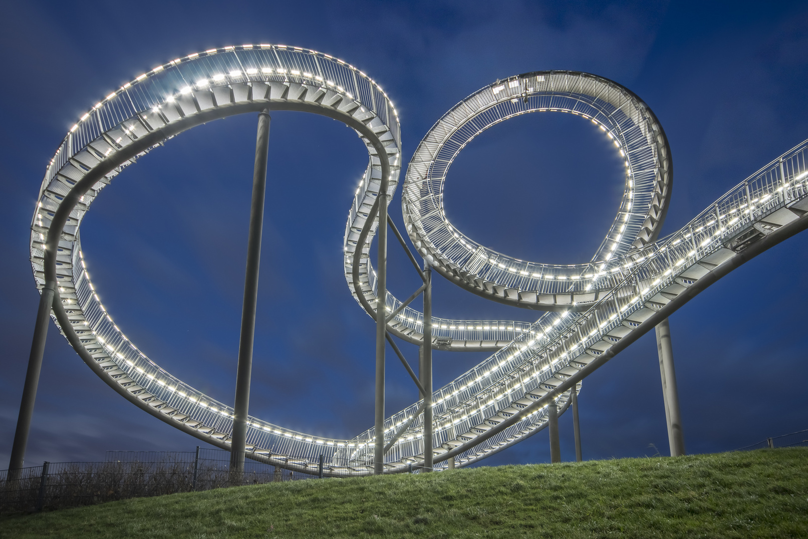 Tiger and Turtle