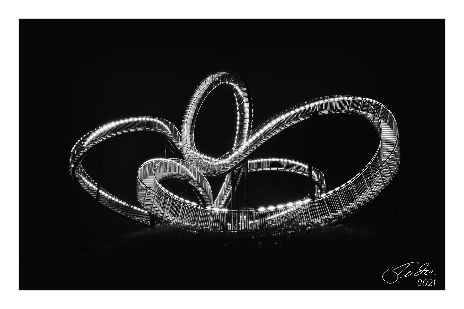 Tiger and Turtle