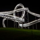 Tiger and Turtle