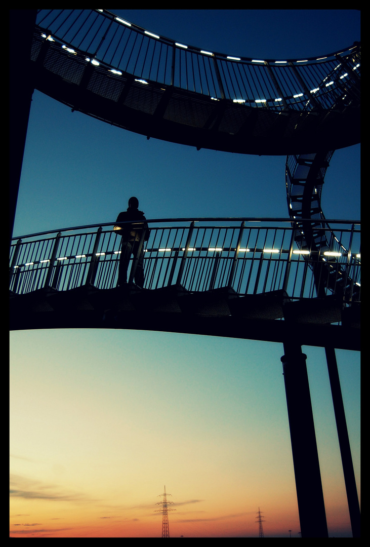 Tiger and Turtle