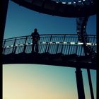 Tiger and Turtle