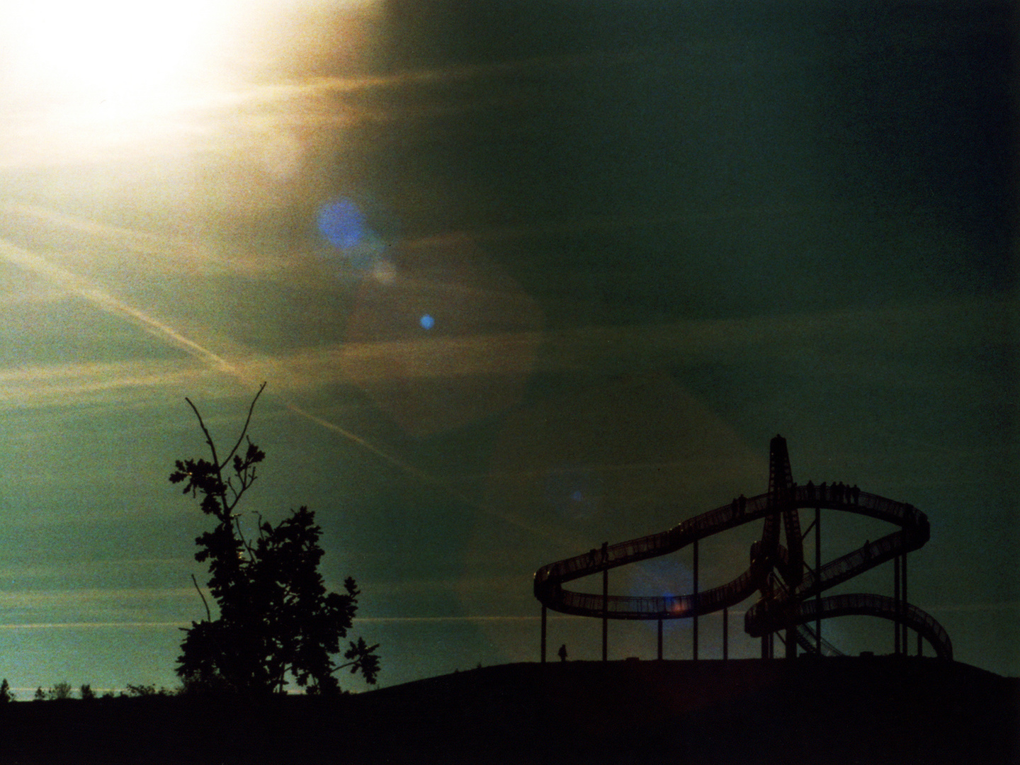 Tiger And Turtle