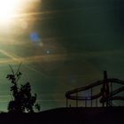 Tiger And Turtle