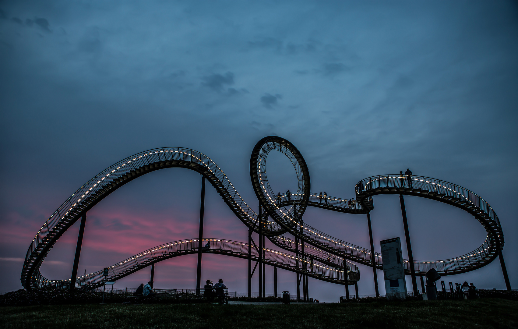 Tiger and Turtle