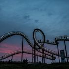 Tiger and Turtle