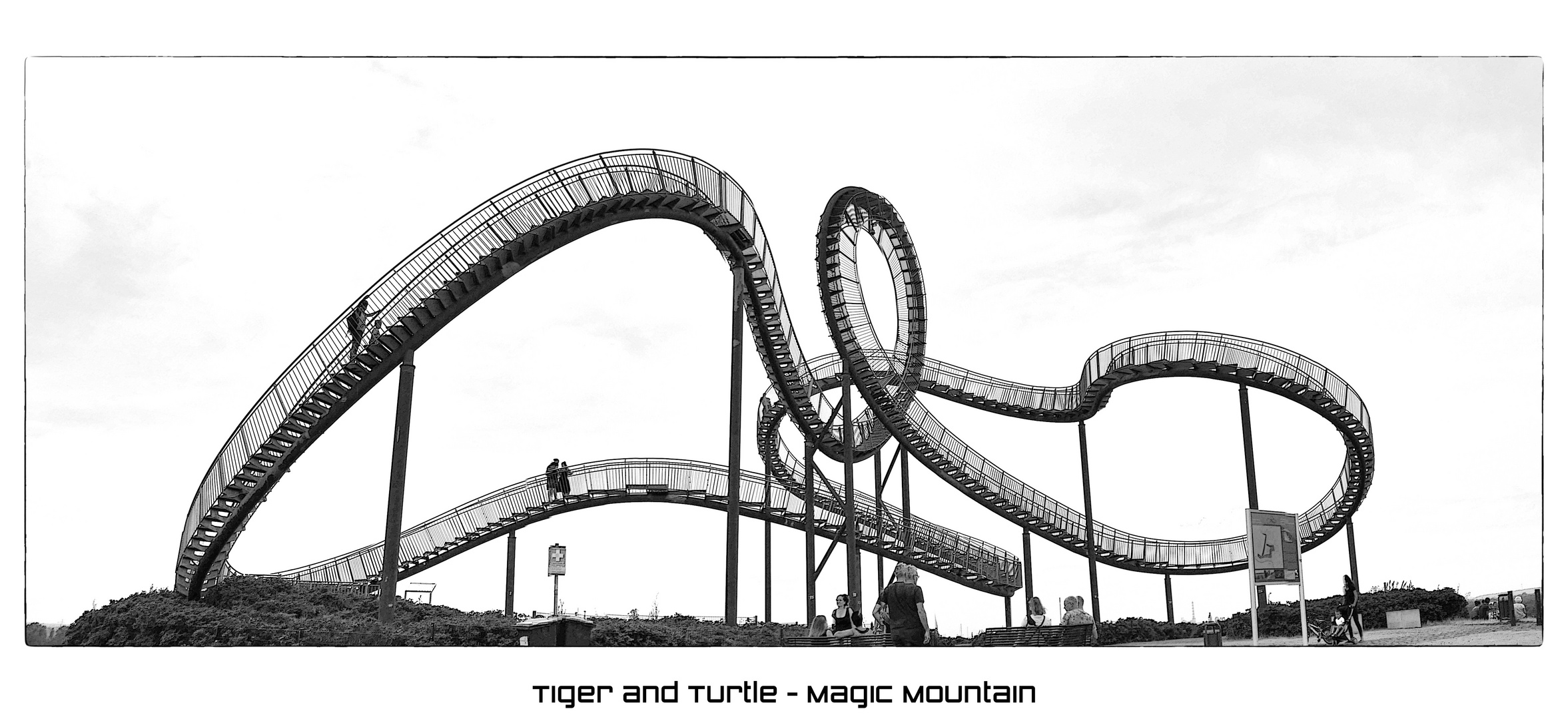 TIGER AND TURTLE