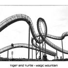 TIGER AND TURTLE