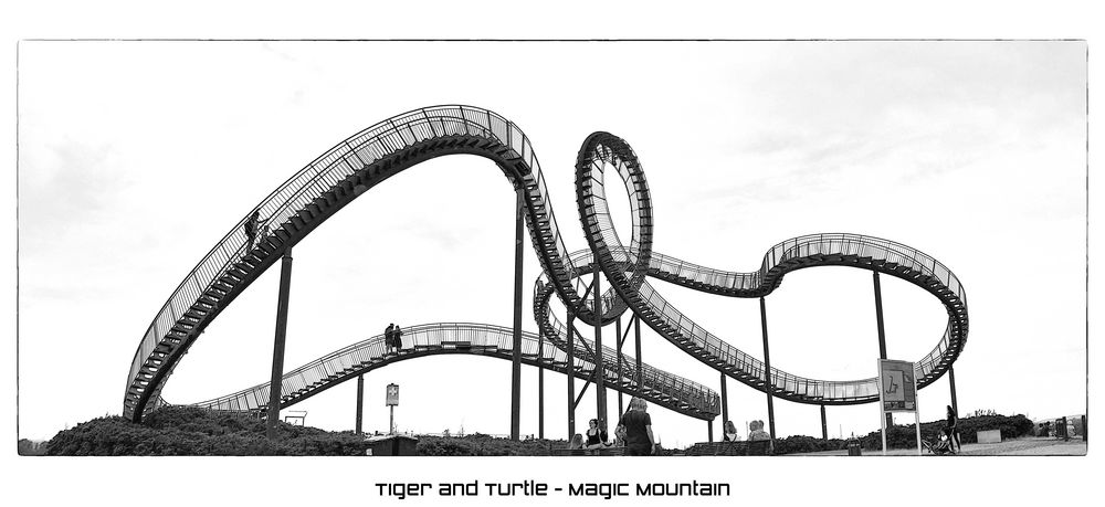 TIGER AND TURTLE