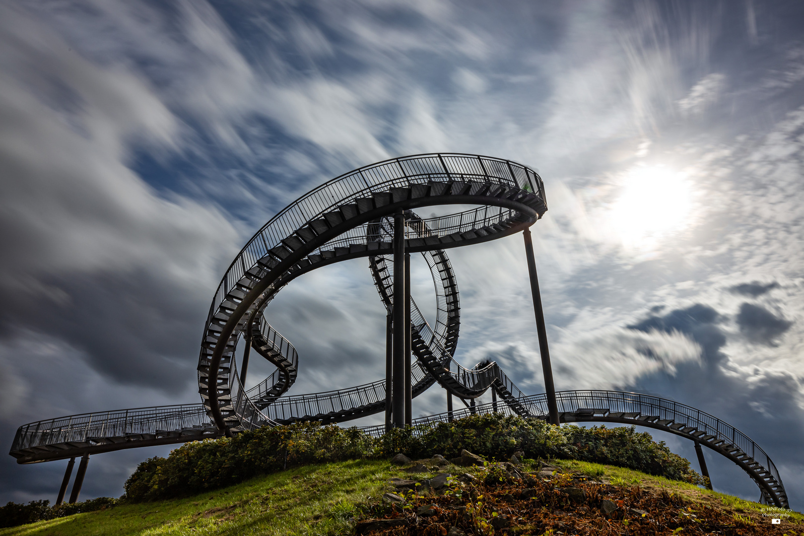 Tiger and Turtle