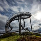 Tiger and Turtle