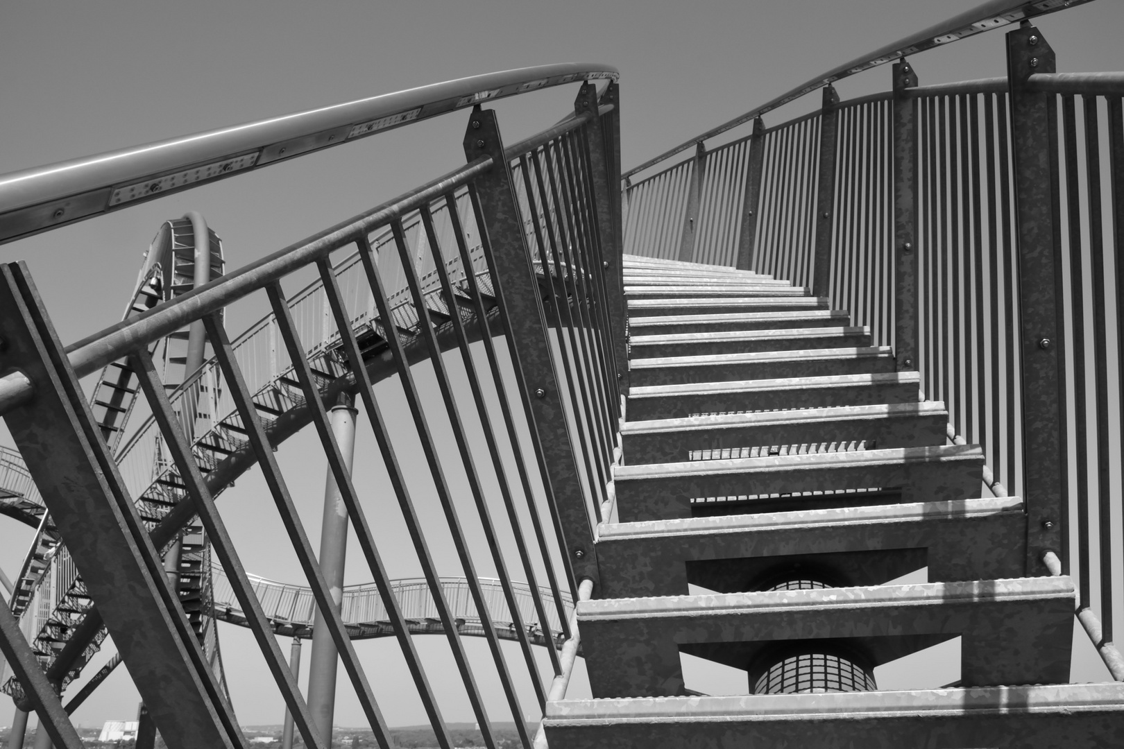 Tiger and Turtle