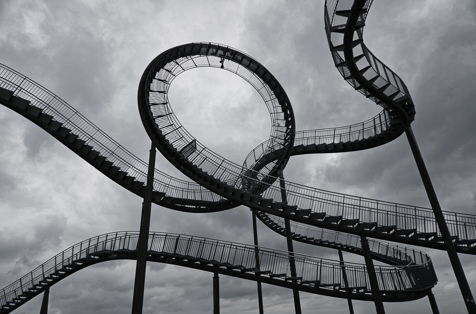 Tiger and Turtle