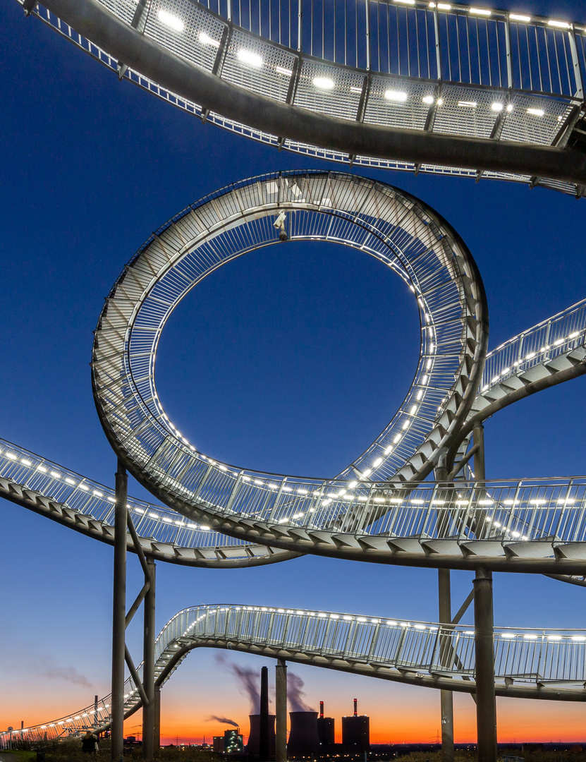 Tiger and Turtle 