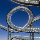 Tiger and Turtle 